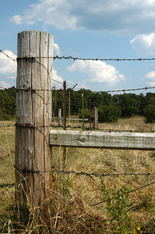 fencepost