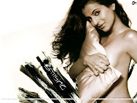 Amisha Patel wallpaper , Amisha Patel photos , Amisha Patel pictures