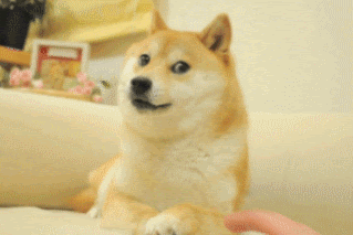 Doge / Doge Clicker for Android - APK Download - Watch out for people impersonating this page!