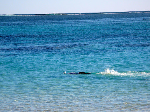 file-189-2012-09-7-00-04-2012-09-7-00-04.jpg