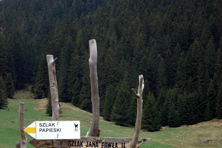 Fotograficznie: Zakopane nie tylko zimą