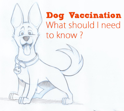 Four Core Diseases You Must Consider Before Vaccinating Your Dogs