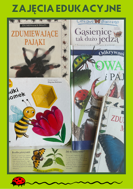 Na zielonym plakacie zdjęcie kilku książek o owadach, napis: zajęcia edukacyjne oraz biedronka