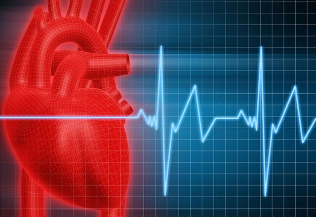 Nhịp tim chậm làm huyết áp thấp xảy ra