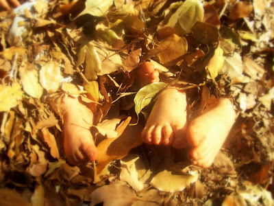 photo of feet in pile of leaves