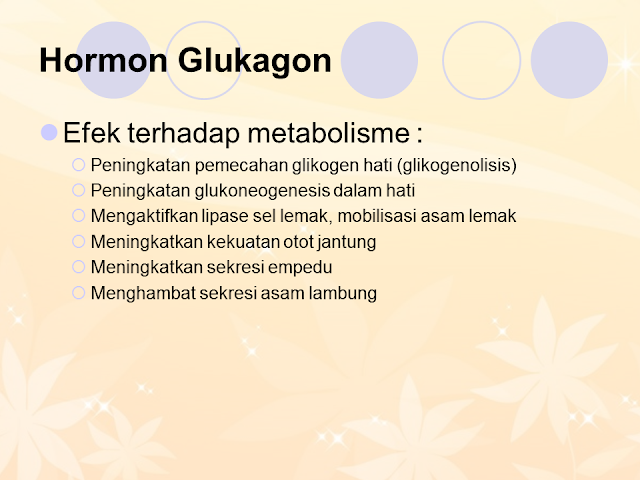 Hormon Glukagon