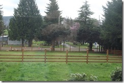 DSCF0503