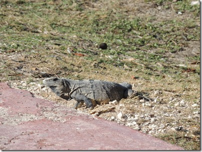 Cancun2013 076