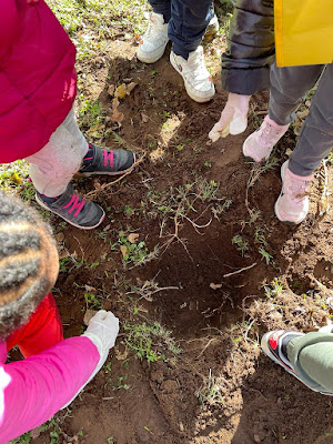 "Giornata degli alberi 2023" - Scuola dell'infanzia Quartiere Europa