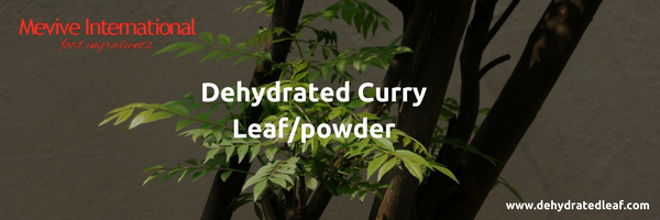 Dehydrated Curry Leaf and Curry leaf powder