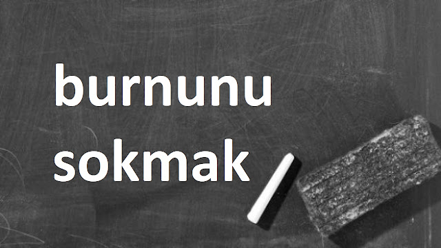 burnunu sokmak