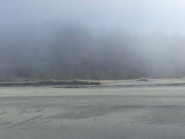 sand shapes and tree shapes