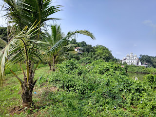 Best Place In Goa