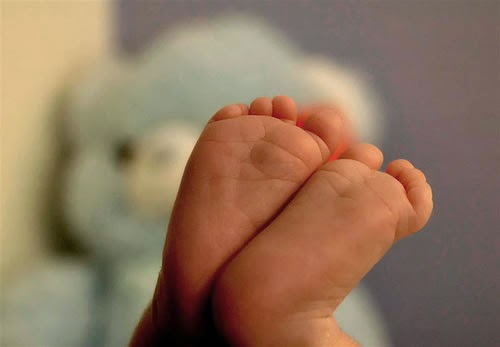 Encuentran los cadáveres de siete bebés en casa de una mujer