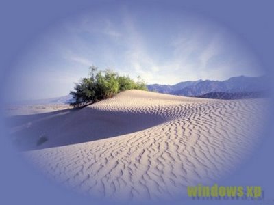 amazing deserts in the world