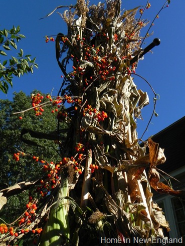 DSCN3677