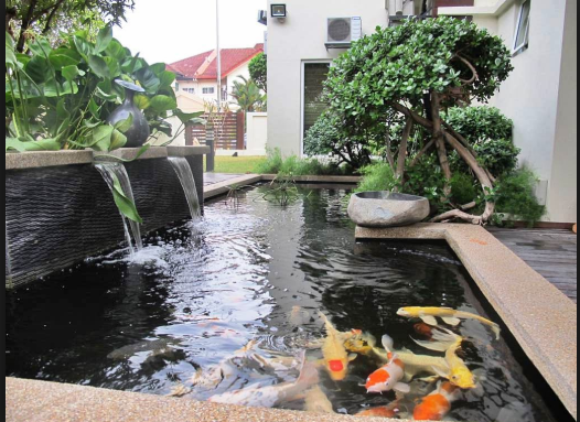 Desain Taman Minimalis Modern Dan Cantik Dengan Kombinasi Kolam Ikan Terbaik