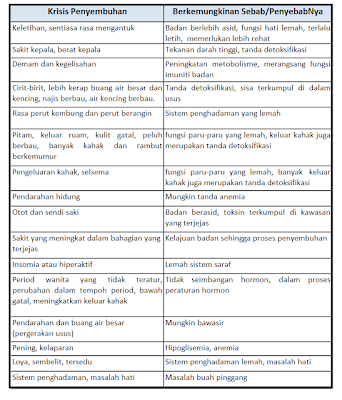 healing crisis shaklee, krisis penyembuhan, healing crisis