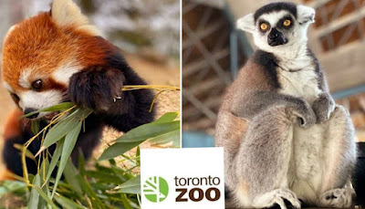 Toronto Zoo  حديقة حيوان تورنتو