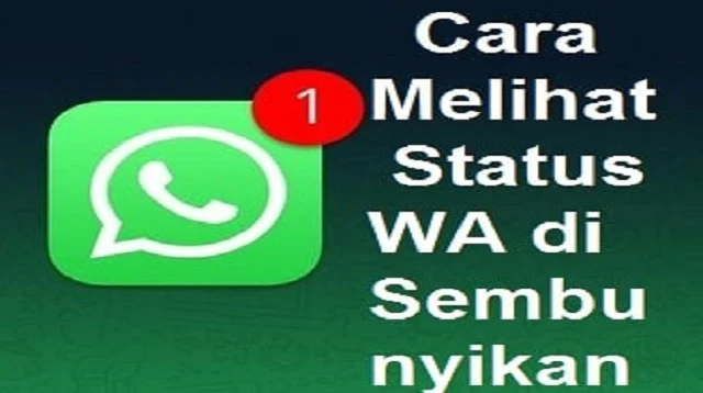 Cara Melihat Status WA Yang di Sembunyikan Dari Kita Tanpa Aplikasi