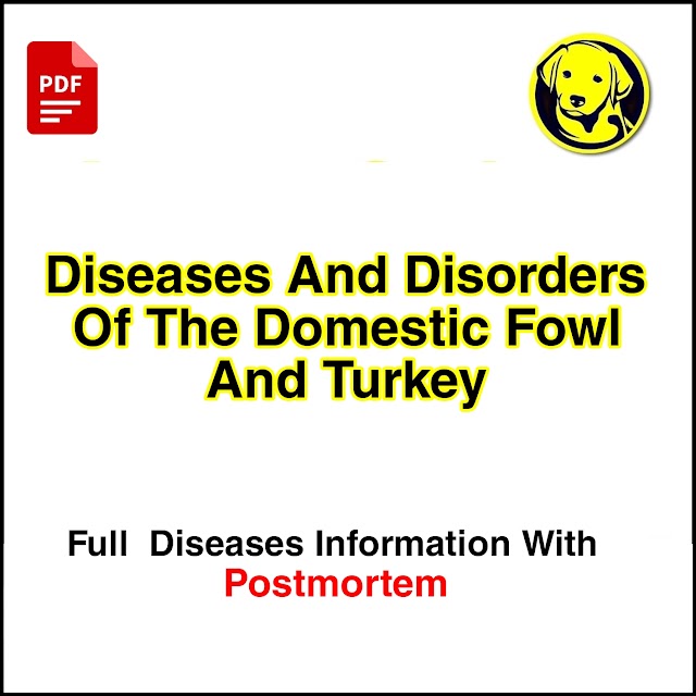 Diseases And Disorders Of The Domestic Fowl And Turkey Full Pdf