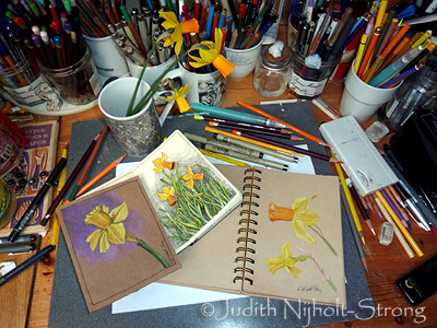 Daffodil Drawings on My Desk