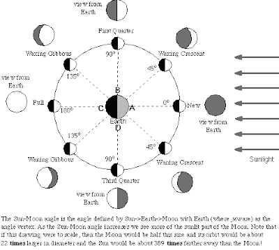 moon phases worksheet. moon phases worksheet.