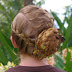 My look for today~ Two French braids with a slanted part