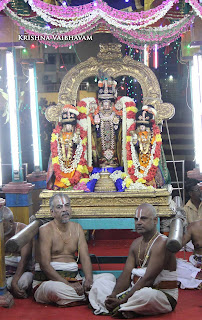 Narasimhar Perumal, Azhagiya Singar, Theliyasingar Maasi , Purappadu,  Trplicane,  Purappadu, Thiruvallikeni, Utsavam, 