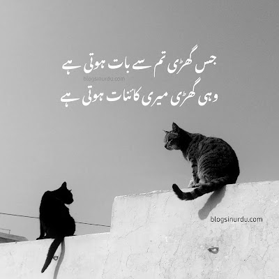 Love Poetry in Urdu