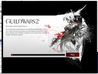 Guild Wars 2 - InstallerClient
