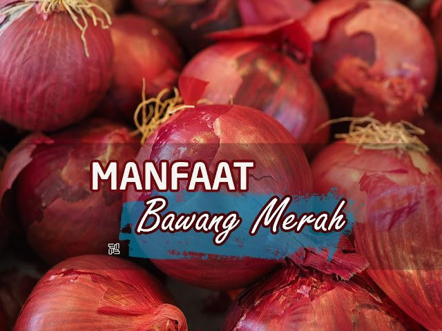 Manfaat Bawang Merah