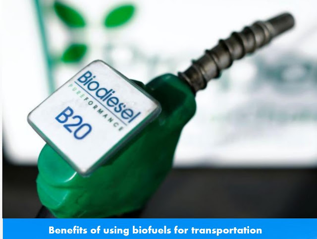 Biofuel innovation and the future of renewable energy