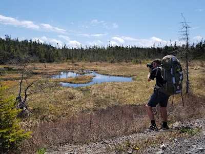 Sean Morton nature photography Trans Canada Trail.
