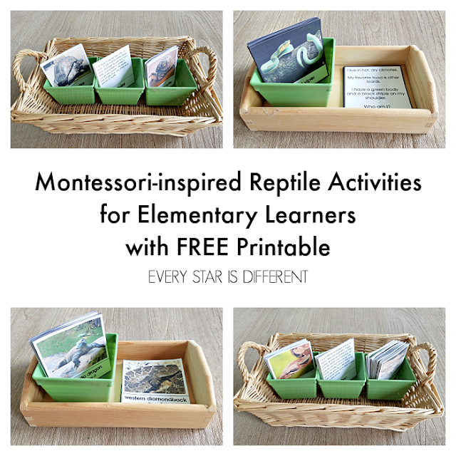 Montessori-inspired Reptile Activities for Elementary Learners with Free Printable