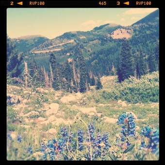 photo(11)