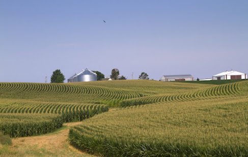 Agriculture Loan