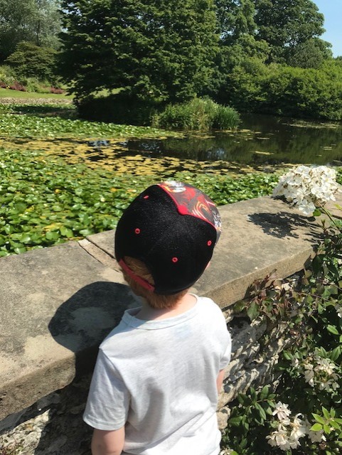 Little boy looking at a pond full of lilys