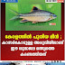 കേരളത്തിൽ പുതിയ മീൻ ; കാസർകോടുള്ള അരുവിയിലാണ്‌  ഈ ശുദ്ധജല മത്സ്യത്തെ  കണ്ടെത്തിയത്