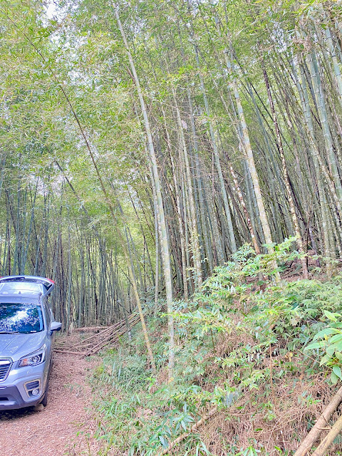 頭凍山停車處