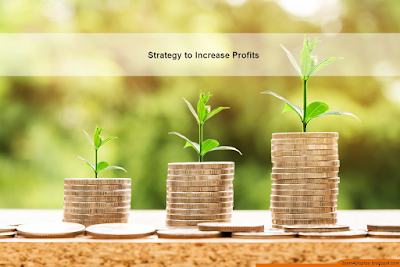 The best and easy Strategy to Increase Profits