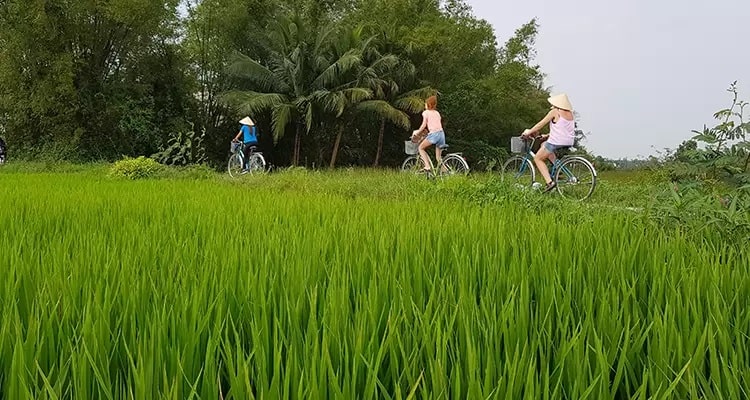 Adventures in Cycling Hoi An