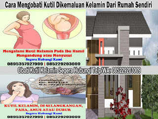 obat kutil kelamin: obat kutil kelamin di apotik, obat kutil kelamin pria di apotik, obat kutil kelamin wanita di apotik, obat kutil kelamin di apotik umum terdekat, obat kutil kelamin di apotik kimia farma k24, salep oles krim kutil kelamin, Cara Mengobati Kutil Dikemaluan Kelamin Dari Rumah Sendiri, cara menghilangkan kutil kelamin, Dokter Obat Kutil Kelamin Terbukti Terbaik Dan Terpercaya