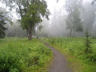 Camping in Ninilchik, Alaska