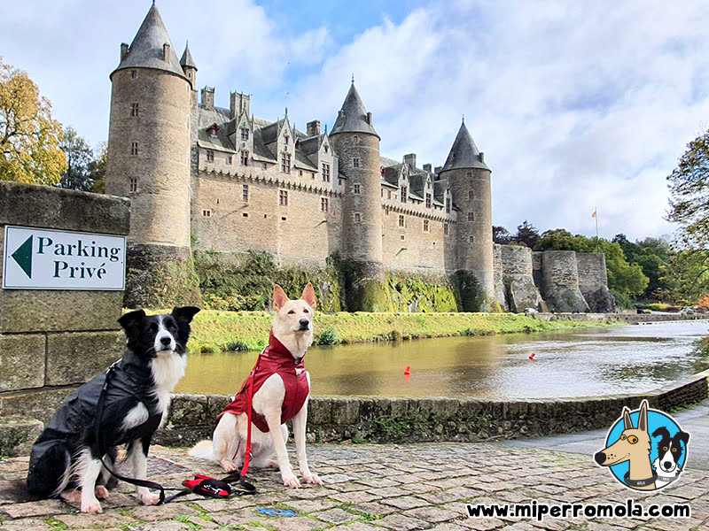 Josselin con Perros - 03 Castillo de Josselin