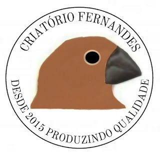 CRATO - CE
