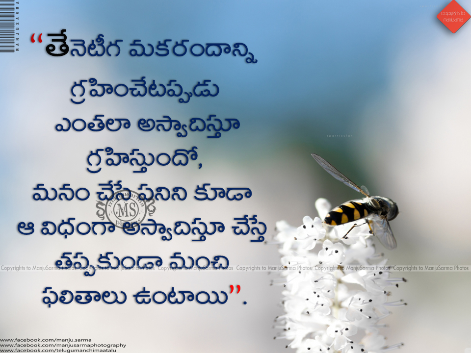 Best Telugu Motivational Life Quotes For Success త ల గ