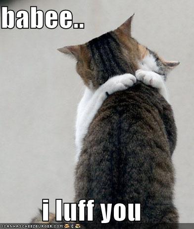 lolcats funny picture baby i love you