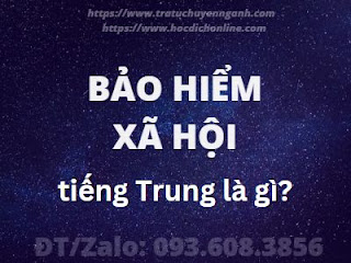 "Bảo hiểm xã hội" tiếng Trung là gì?