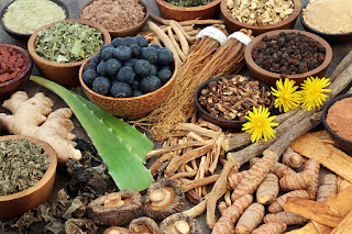 Medicinal Plant Extracts